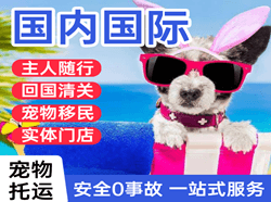 呼和浩特白塔航空空运国际宠物托运 【国